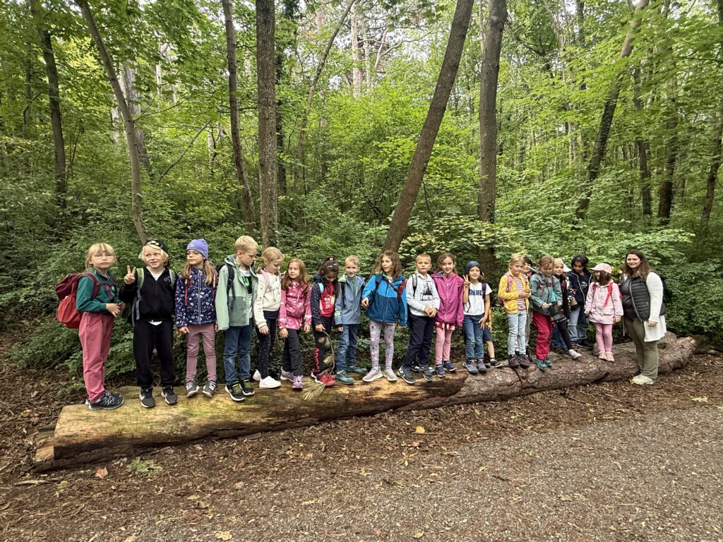 20250918 090802311 ios