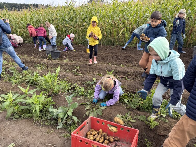 20250929 073728753 ios